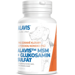 ALAVIS MSM + Glukosamin sulf�t 60 tbl.